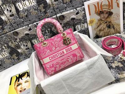 DIOR Handbags 540